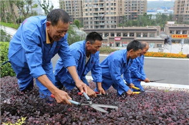 幸福公园绿化养护